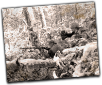 GFX_report_event_FIN_karelian_forest_guerillas